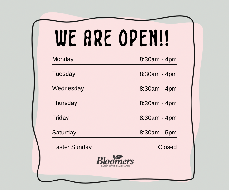 Open, Garden Center, Hours, Beier's Greenhouse